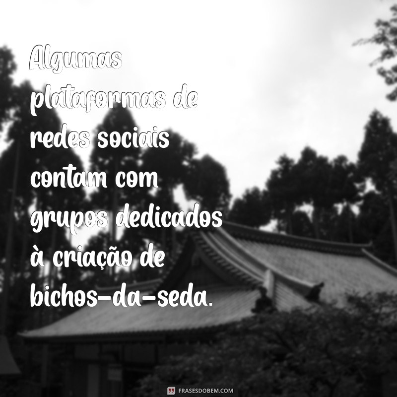 Descubra Onde Encontrar o Bicho-da-Seda: Dicas e Locais Ideais 