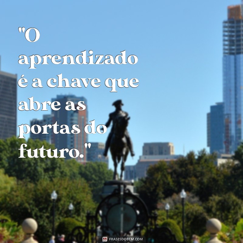 frases sobre estudar 