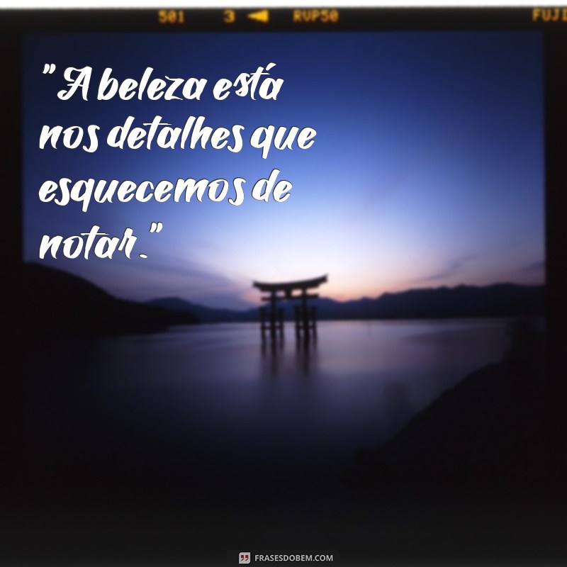 frases elegantes para status 