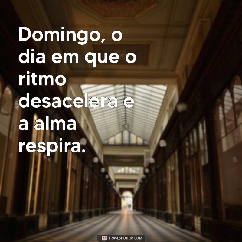 Domingo Preguiçoso: Dicas para Aproveitar o Dia com Relaxamento e Conforto 