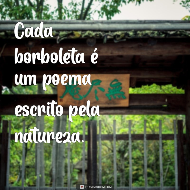 Frases Inspiradoras com a Palavra Borboleta: Transforme Seu Dia 