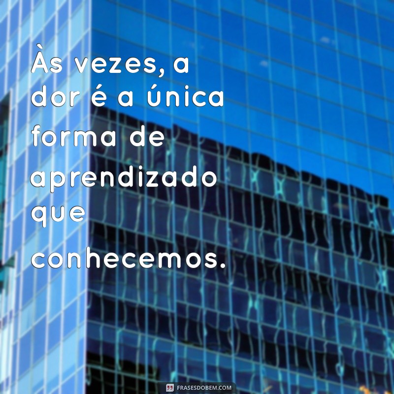 frases magoada Às vezes, a dor é a única forma de aprendizado que conhecemos.