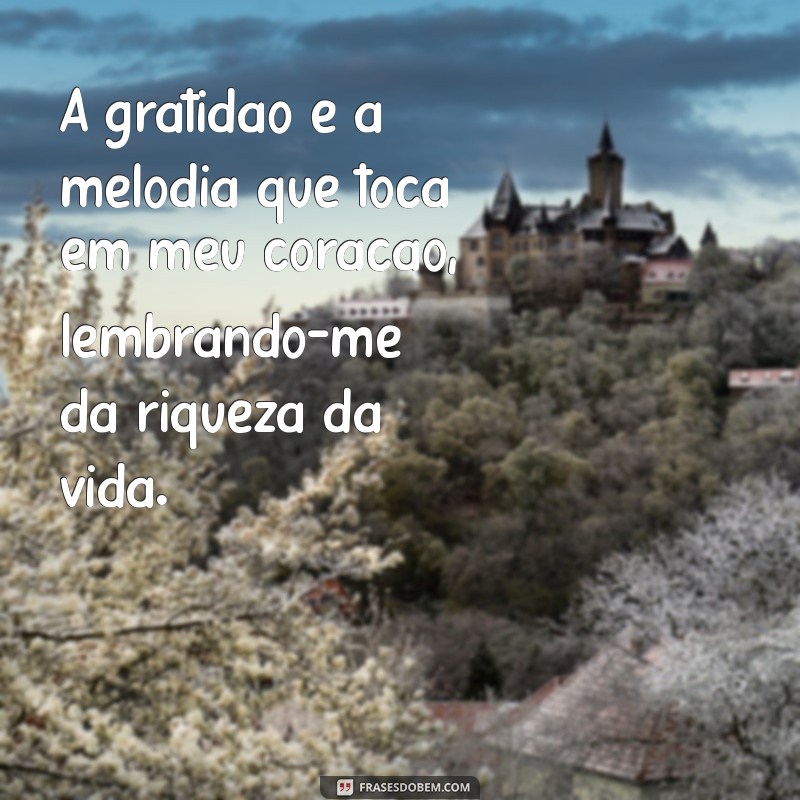 Versículos Inspiradores de Gratidão pela Vida: Encontre Paz e Alegria 