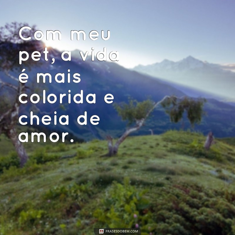 Descubra as mais belas frases de amor para seu pet - Confira agora! 