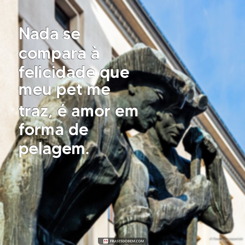 Descubra as mais belas frases de amor para seu pet - Confira agora! 