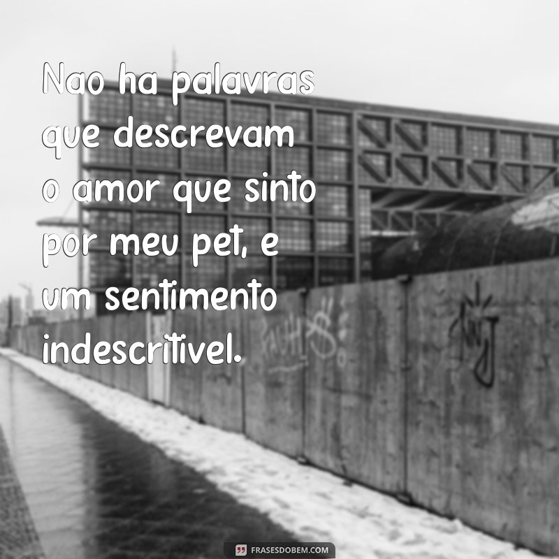 Descubra as mais belas frases de amor para seu pet - Confira agora! 