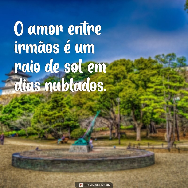 Amor de Irmão: 20 Frases Inspiradoras para Celebrar a Fraternidade 