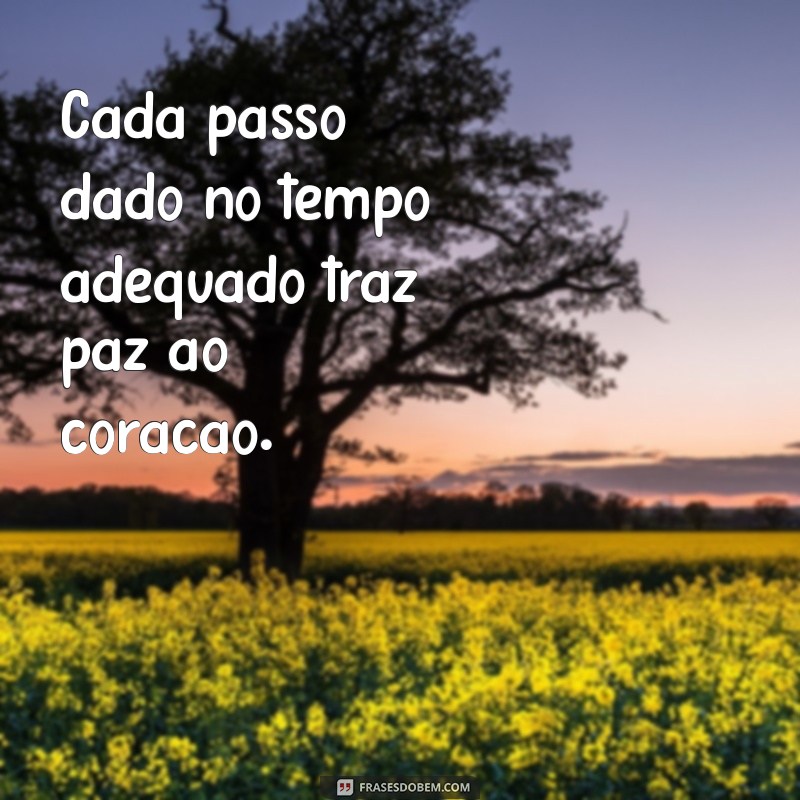 O Tempo Certo: Como Aproveitar Cada Momento da Sua Vida 