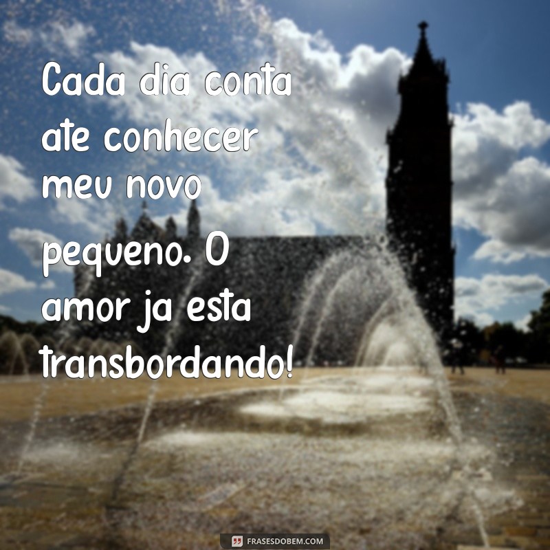 Frases Inspiradoras para Celebrar a Chegada do Segundo Filho 