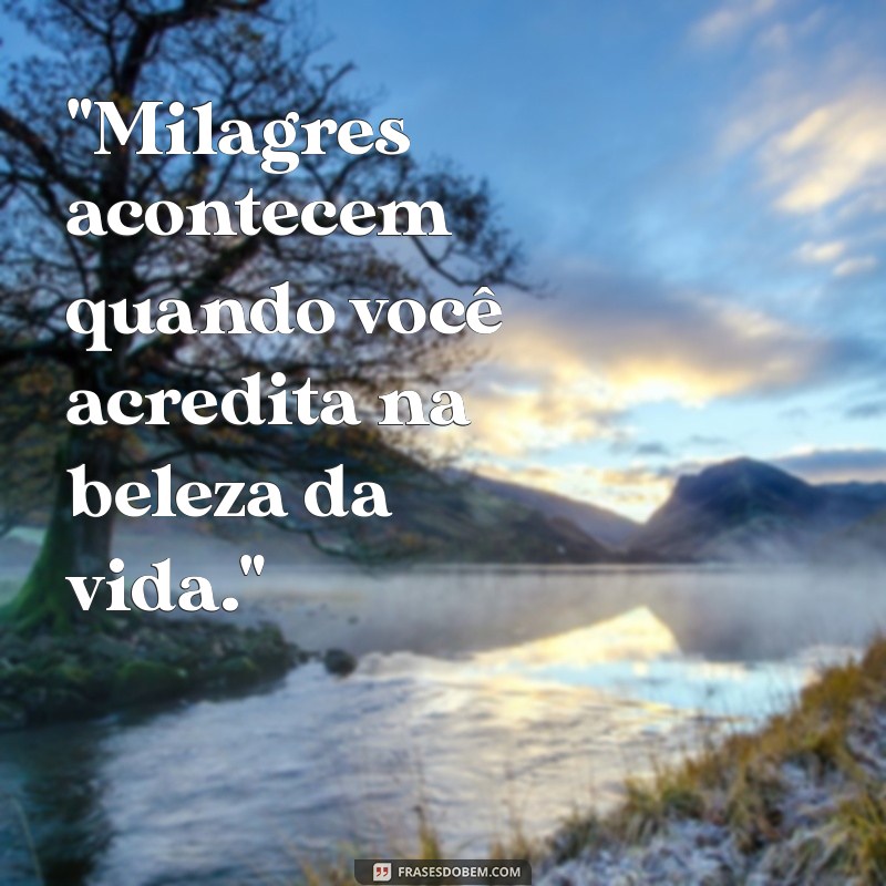 frases de milagres da vida 