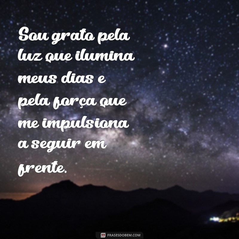 louvores de agradecimento Sou grato pela luz que ilumina meus dias e pela força que me impulsiona a seguir em frente.