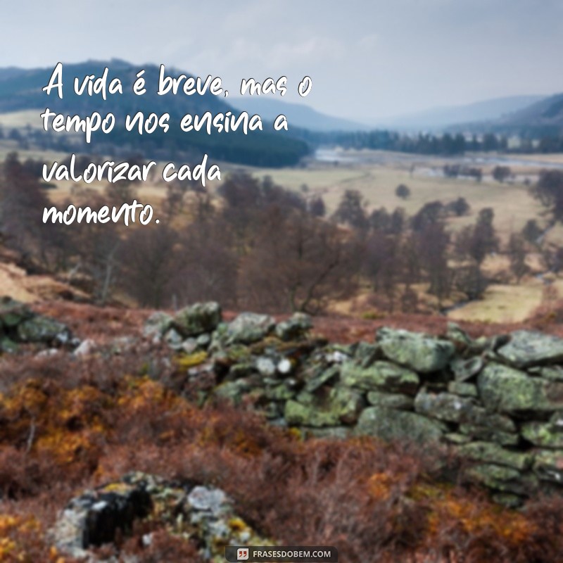 Frases Inspiradoras para Refletir sobre a Calma e o Tempo 