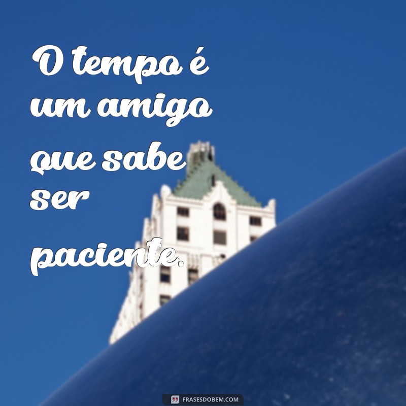 frases tempo vai com calma O tempo é um amigo que sabe ser paciente.