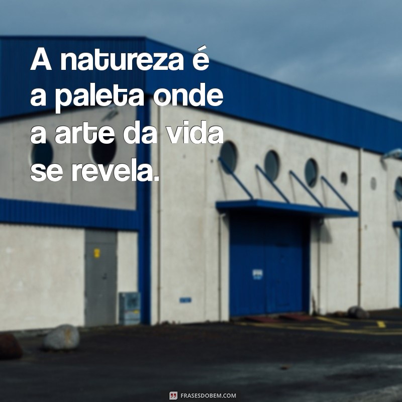 natureza e arte A natureza é a paleta onde a arte da vida se revela.