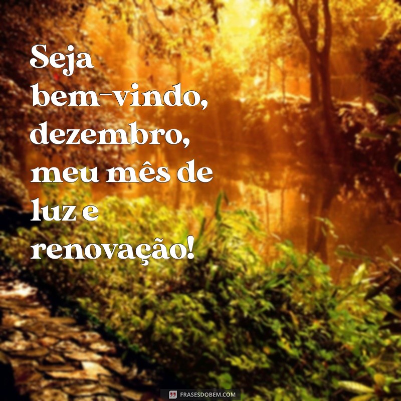 seja bem vindo dezembro meu mes Seja bem-vindo, dezembro, meu mês de luz e renovação!