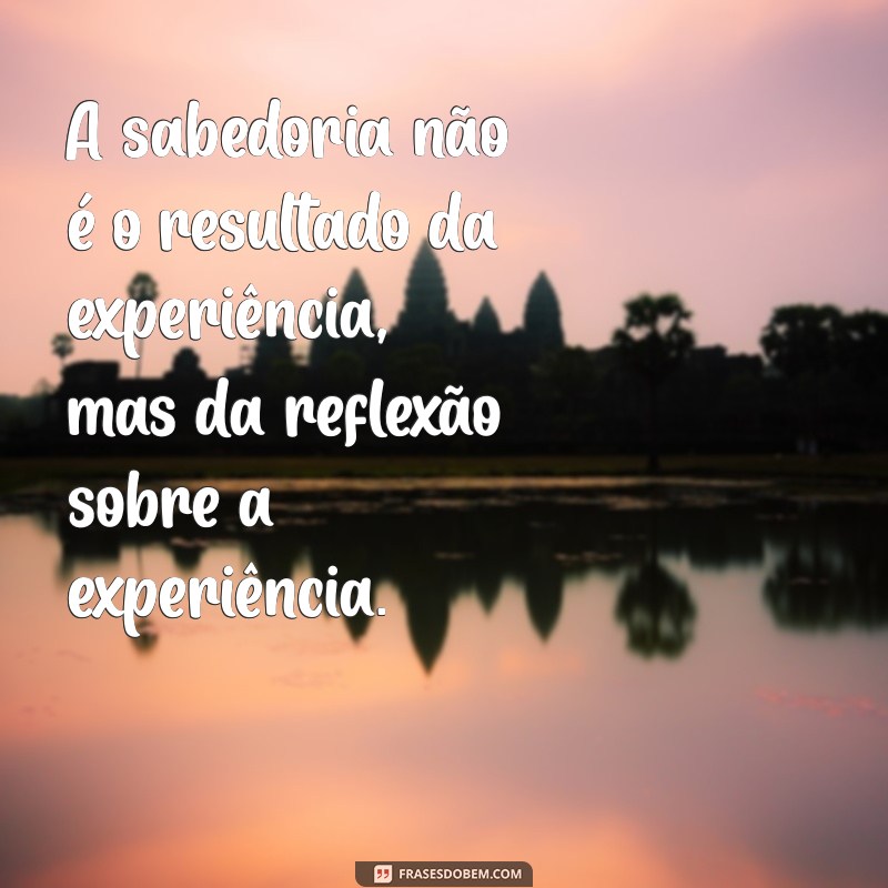 sabio frases A sabedoria não é o resultado da experiência, mas da reflexão sobre a experiência.