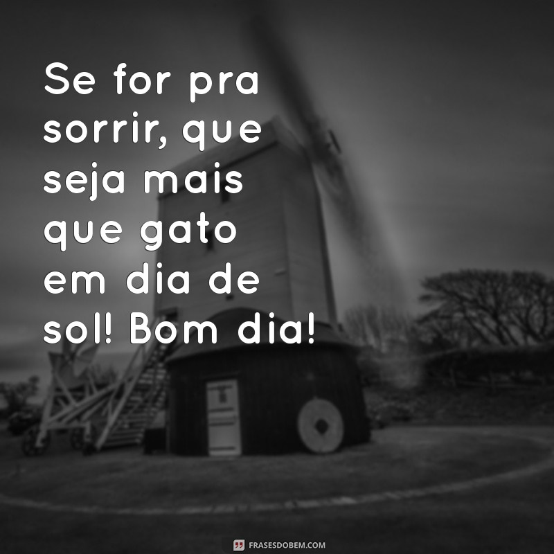 Melhores Mensagens de Bom Dia Caipira para Compartilhar no WhatsApp 