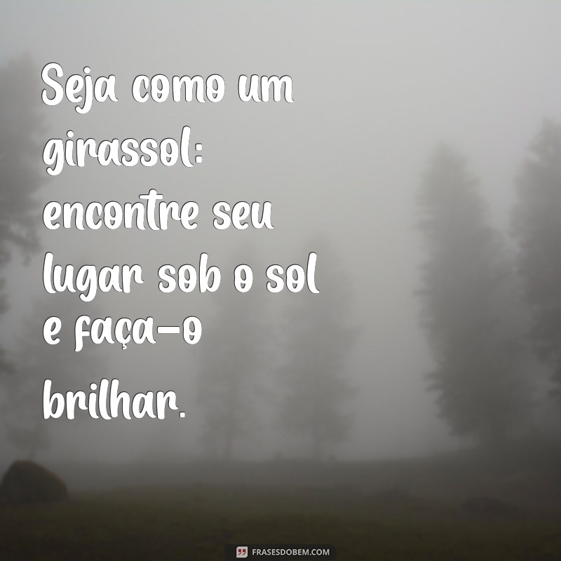 Como Ser Como um Girassol: Dicas para Iluminar Sua Vida e Crescer com Confiança 