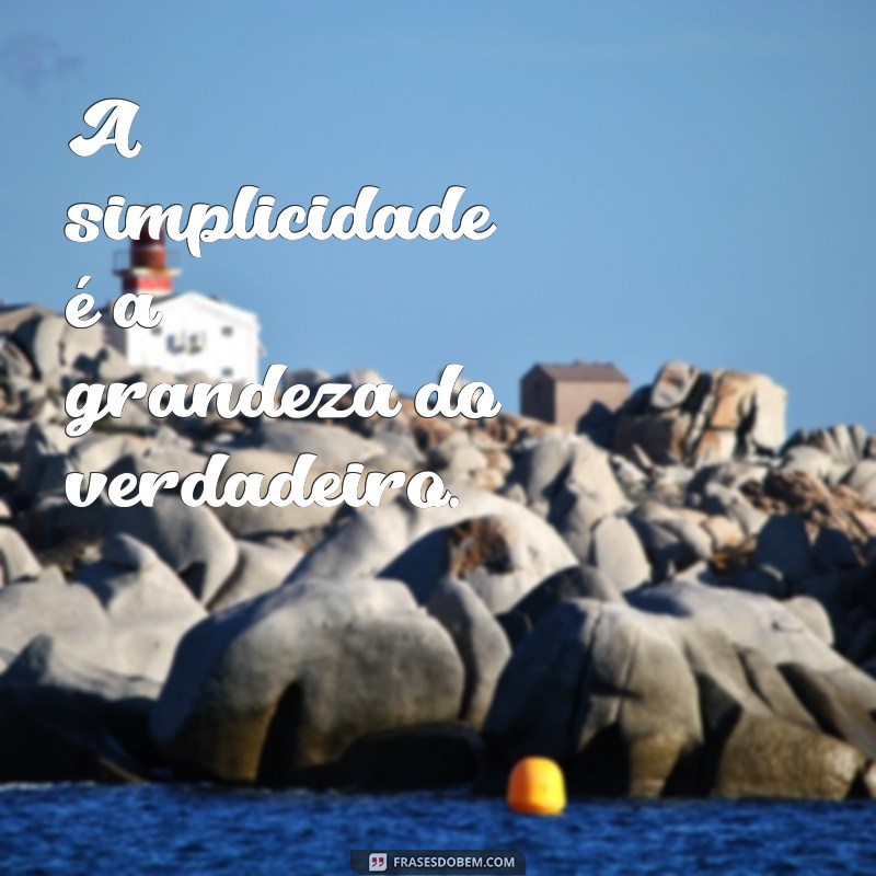 Frases Curtas e Impactantes para Inspirar sua Criatividade 