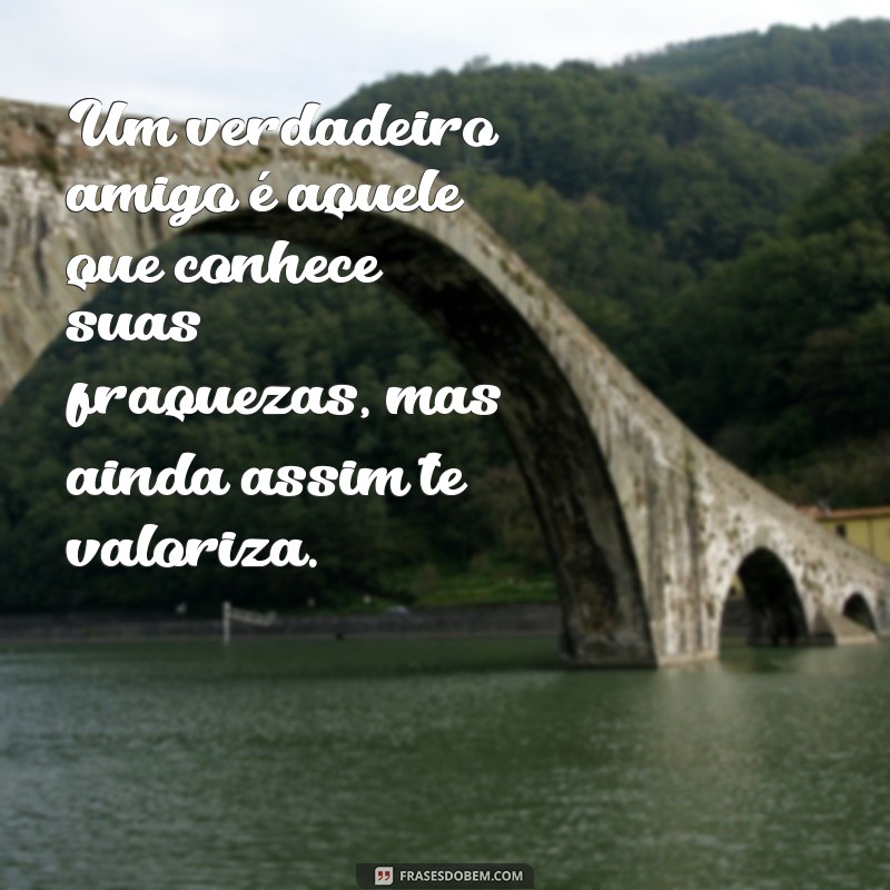 As Melhores Frases sobre Amizade para Celebrar laços Inquebráveis 