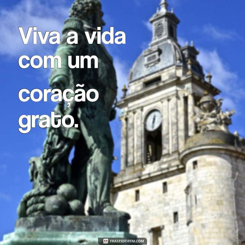 Descubra as Melhores Frases de Gratidão para Inspirar e Transformar sua Vida 