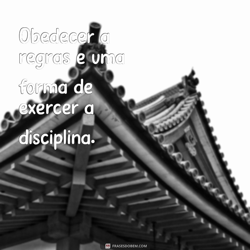 Descubra as melhores frases sobre disciplina para se inspirar e alcançar seus objetivos 