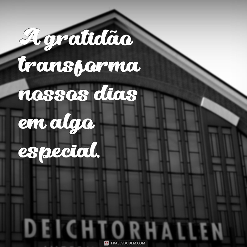 Domine o Uso de Substantivos em Frases: Dicas e Exemplos Práticos 