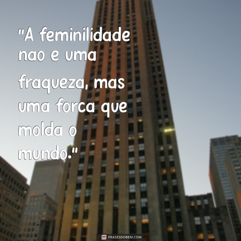 frases chimamanda 