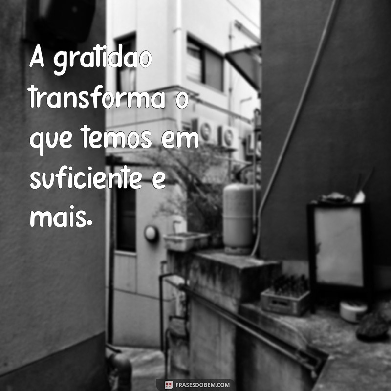 mensagem sobre gratidao A gratidão transforma o que temos em suficiente e mais.