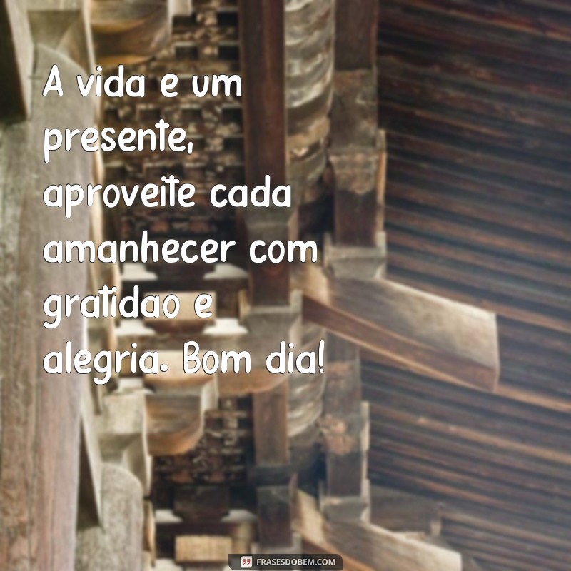 frases de status de bom dia A vida é um presente, aproveite cada amanhecer com gratidão e alegria. Bom dia!