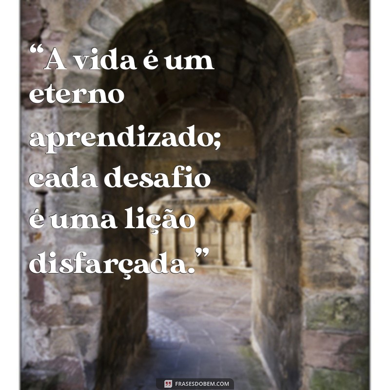 mensagem de reflexão de chico xavier “A vida é um eterno aprendizado; cada desafio é uma lição disfarçada.”