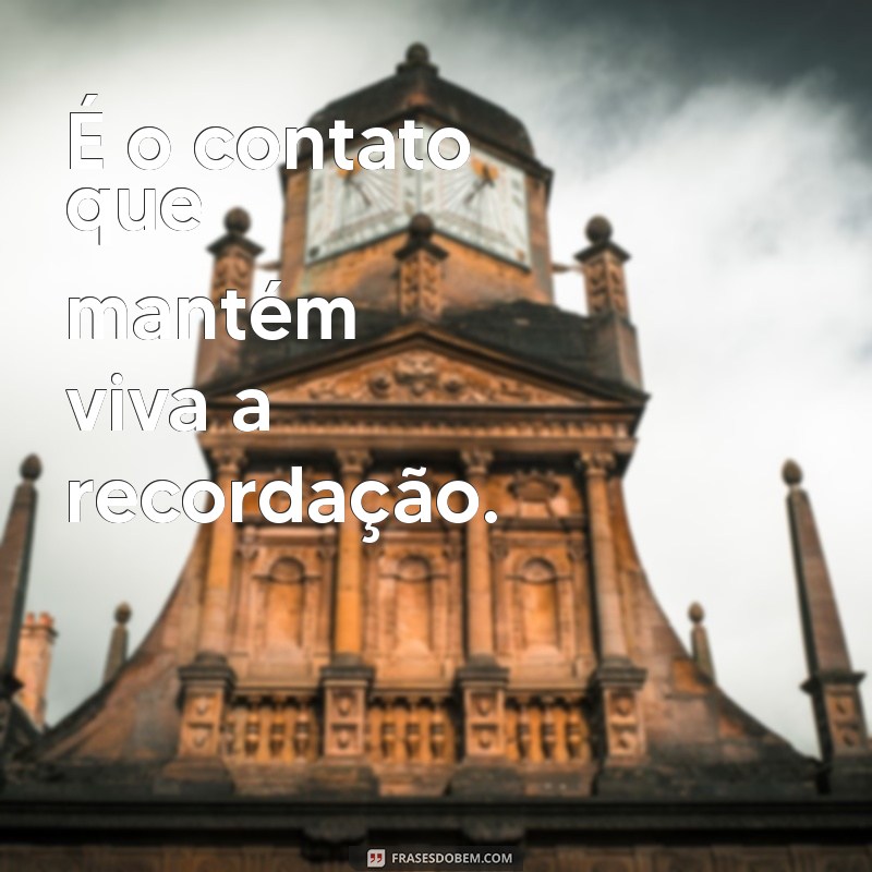 Frases Inspiradoras: Quem Não É Visto Não É Lembrado e Seu Significado 