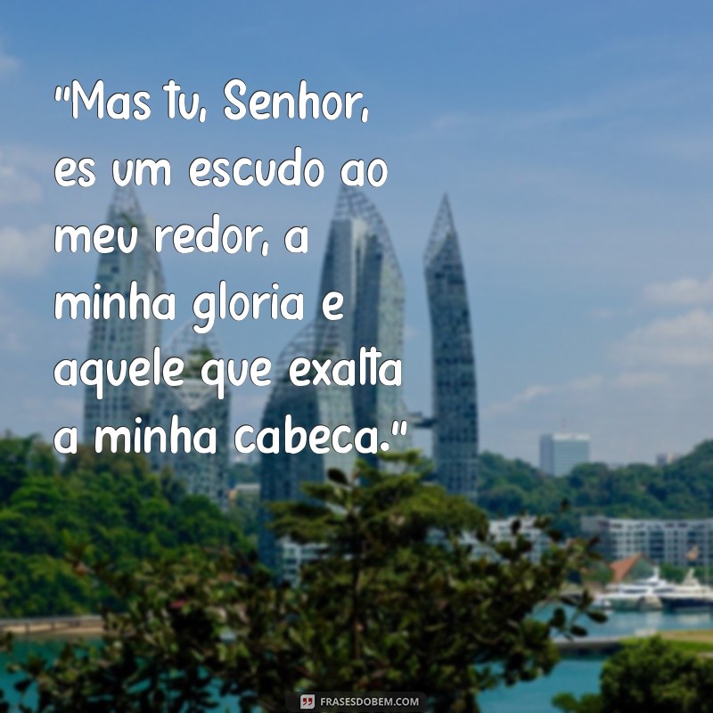 salmos 3 3 