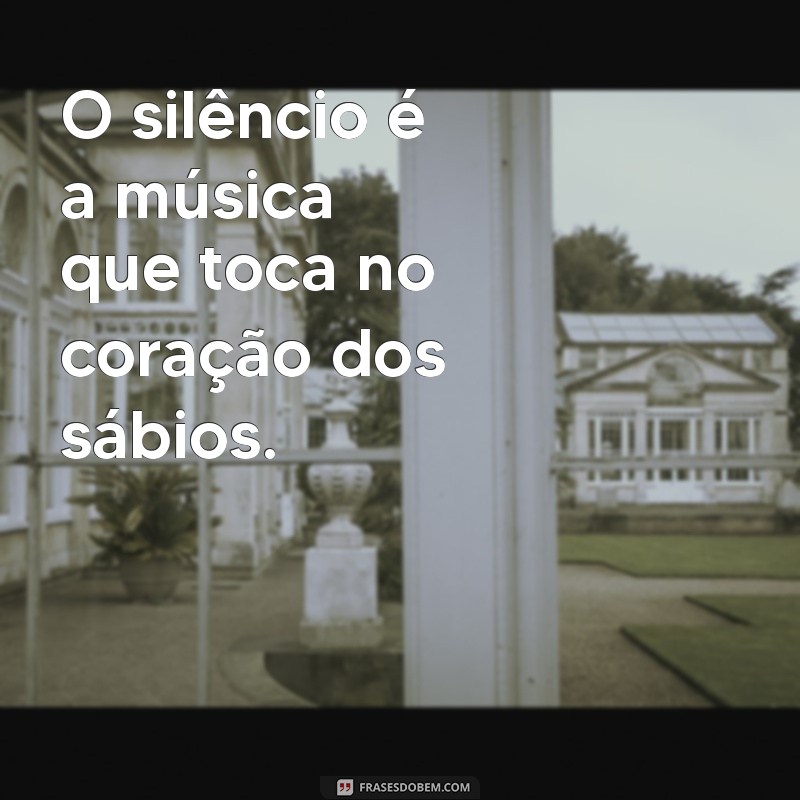 frases do silêncio O silêncio é a música que toca no coração dos sábios.