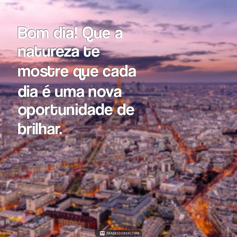 Mensagem de Bom Dia: Inspire-se com Frases que Celebram a Beleza da Paisagem 