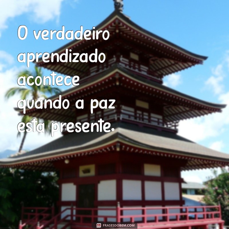 Frases Inspiradoras de Paz para Promover Harmonia na Escola 