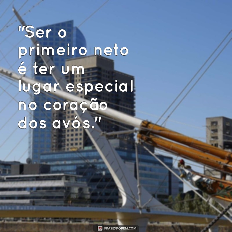 frases primeiro neto 