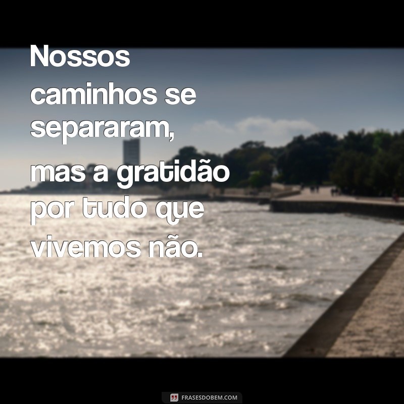 Superando o Fim: Como Lidar com a Ex-Namorada e Seguir em Frente 