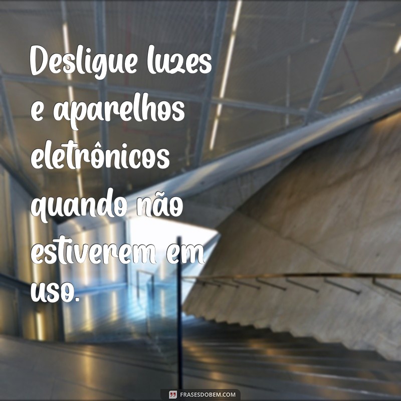 Como Celebrar um Ano de Cuidados com o Meio Ambiente: Dicas e Práticas Sustentáveis 