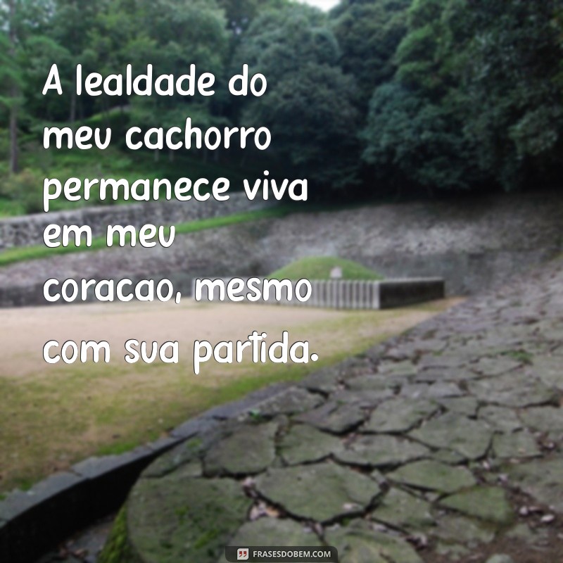 cachorro morreu frases A lealdade do meu cachorro permanece viva em meu coração, mesmo com sua partida.