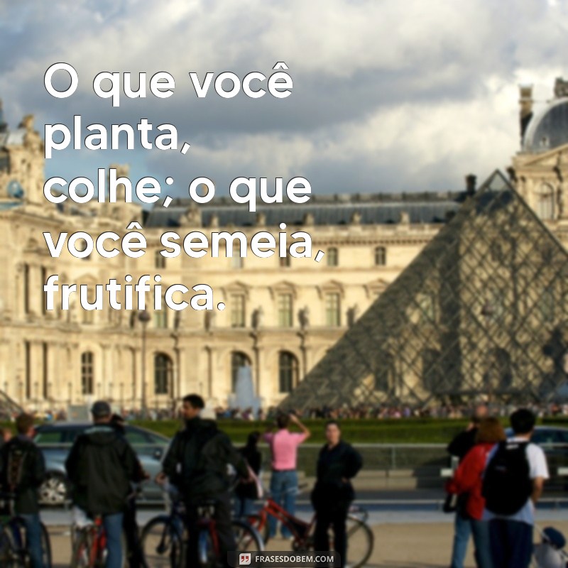 lei da semeadura O que você planta, colhe; o que você semeia, frutifica.