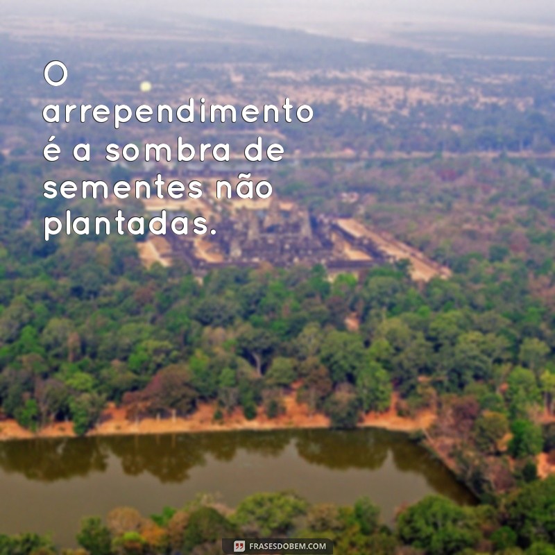 Lei da Semeadura: Como Seus Ato Reflexos na Vida e nos Relacionamentos 