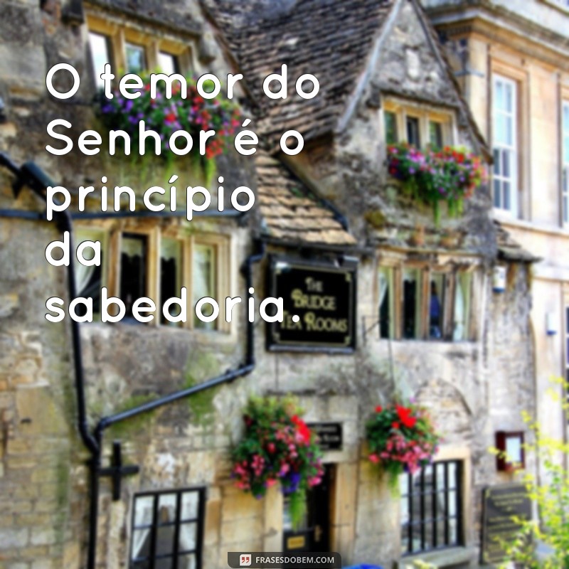 provérbio de salomão O temor do Senhor é o princípio da sabedoria.