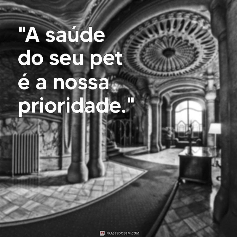 frases veterinaria 