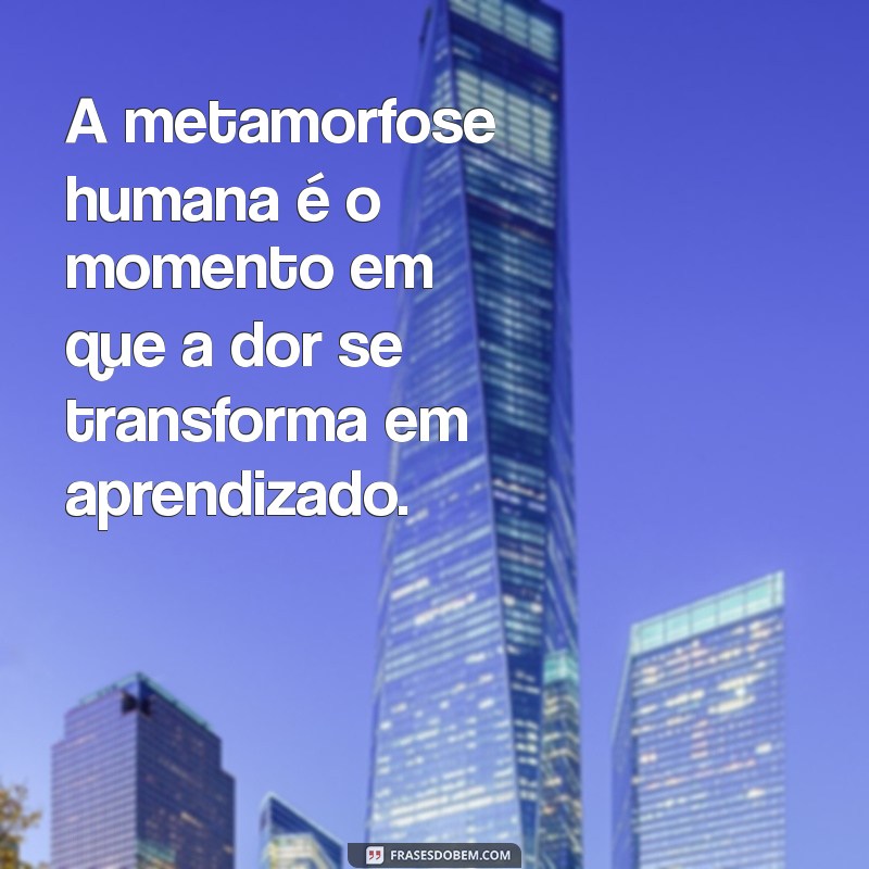 metamorfose humana A metamorfose humana é o momento em que a dor se transforma em aprendizado.