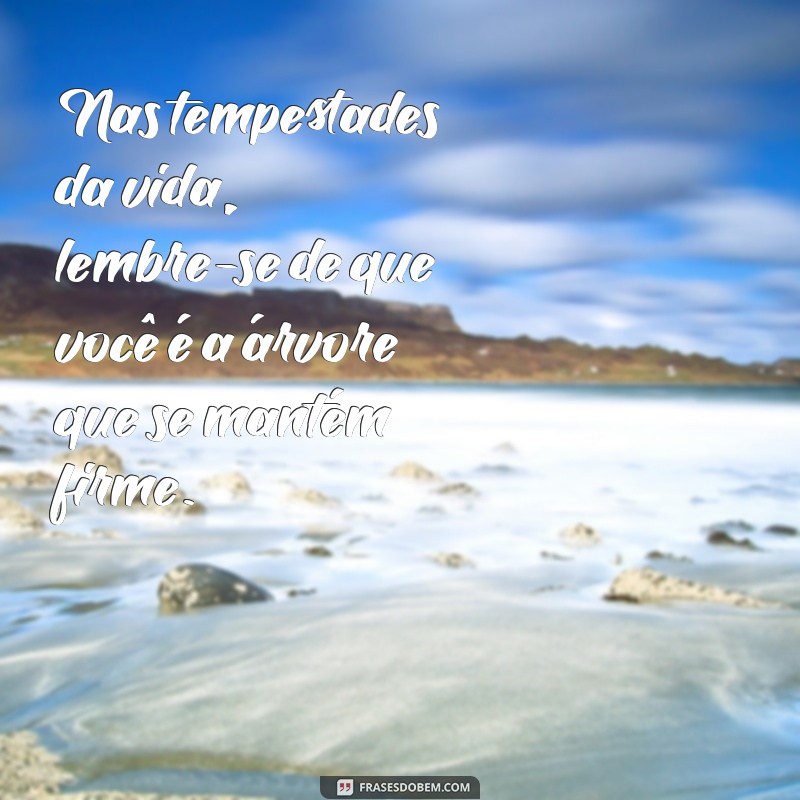 mensagem de ser forte diante das dificuldades Nas tempestades da vida, lembre-se de que você é a árvore que se mantém firme.