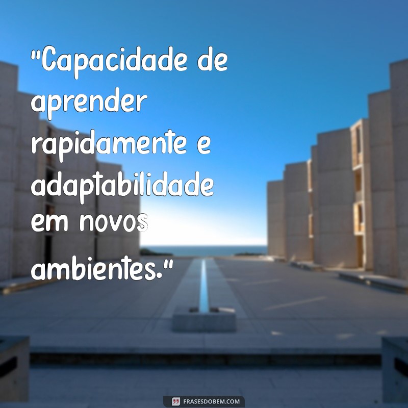 frases para colocar no currículo quando não tem experiência profissional 