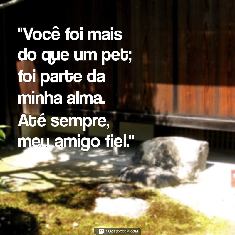 msg para cachorro que morreu 