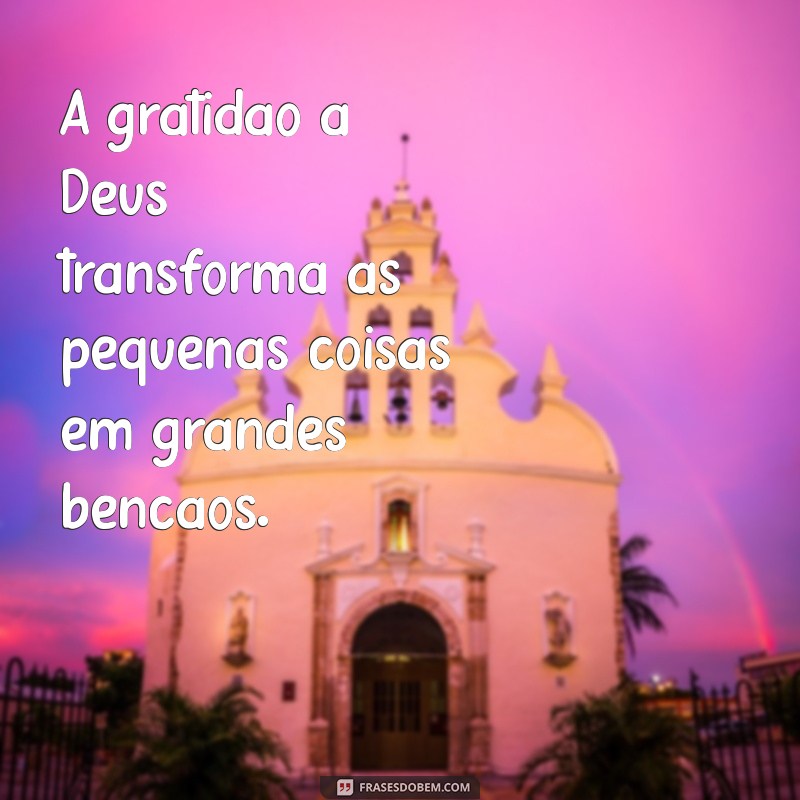 gratidão a deus frases A gratidão a Deus transforma as pequenas coisas em grandes bênçãos.