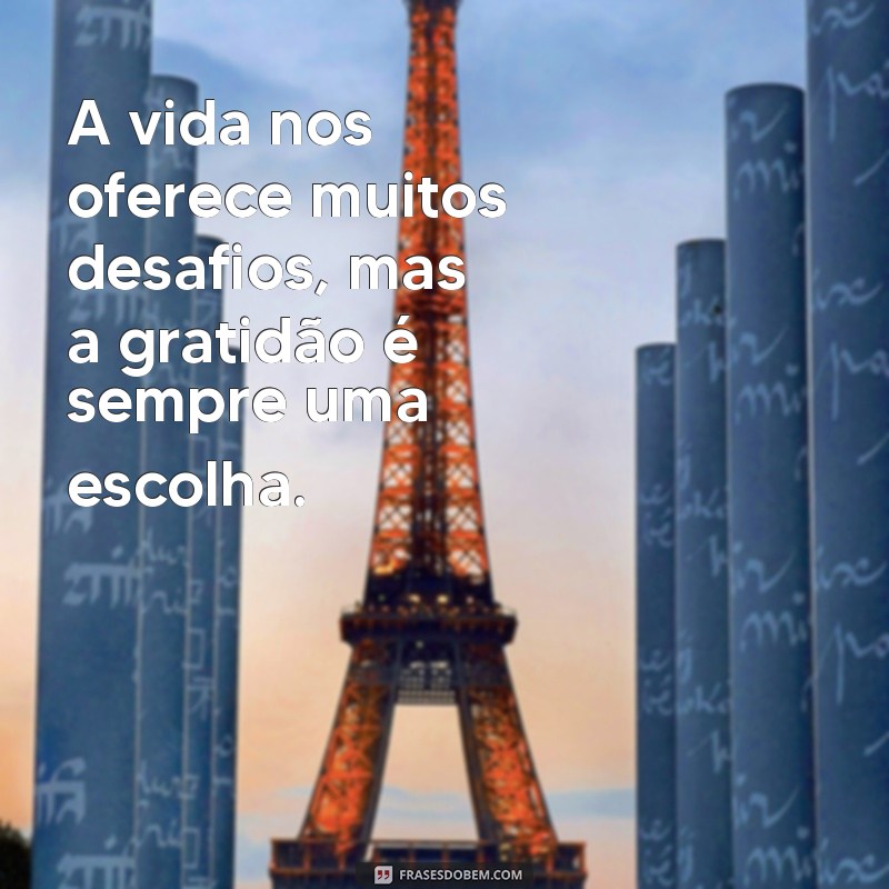 30 Frases Inspiradoras sobre Gratidão pela Vida para Transformar sua Perspectiva 